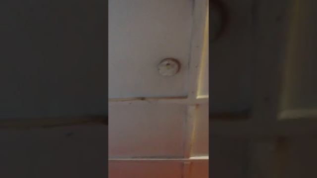 Учебный полигон СГУГиТ смотреть онлайн