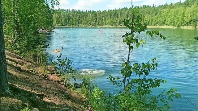 Зелёное озеро в Луге, Ленинградская область смотреть онлайн