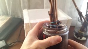 Простой КИЛЬЧЕВАТОР для проращивания черенков ВИНОГРАДА