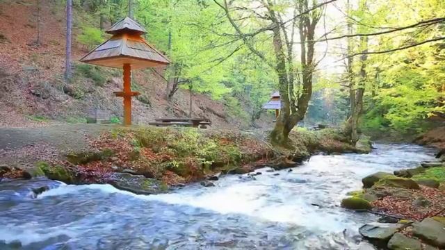 Muzică de Relaxare, Muzică pentru Meditatie, Muzică pentru Somn, Muzică Zen, Energie Pozitivă #3 смотреть онлайн