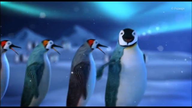 Пример видеопоздравления смотреть онлайн