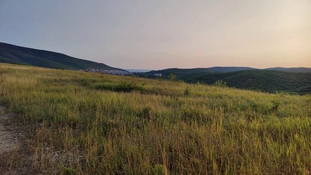 Закат с Керри Блю терьером Гага на тропе здоровья ЖК Холидей Хаус Сукко смотреть онлайн