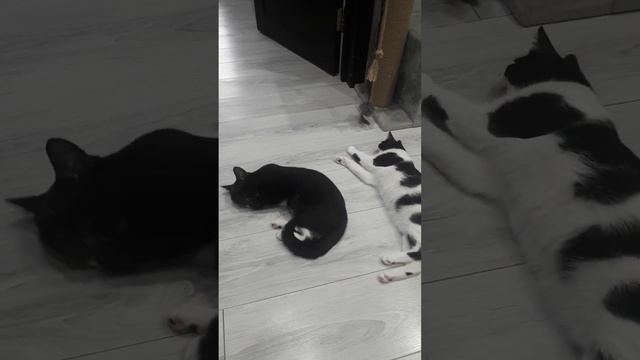 Валяются смотреть онлайн