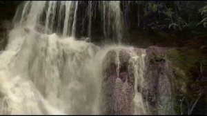 волшебный дудук Дживан Гаспарян