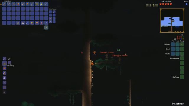 Terraria 1.2 - Multiplayer Let's Play! [NL] Ep. 2 Living wood chest? смотреть онлайн