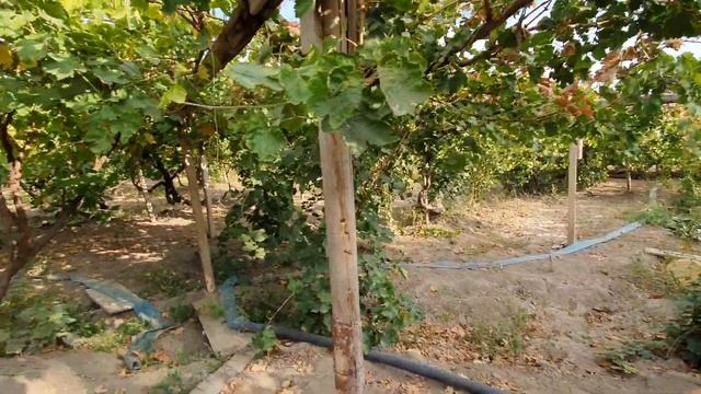 Вот ТАК ЖИВУТ в СЕЛАХ АРМЕНИИ!!ԻՆՉՊԵՍ ԱՊՐԵԼ ՀԱՅԿԱԿԱՆ ԳՅՈՒՂԵՐՈՒՄ смотреть онлайн