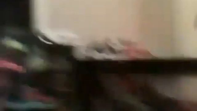 angry birds space plush смотреть онлайн