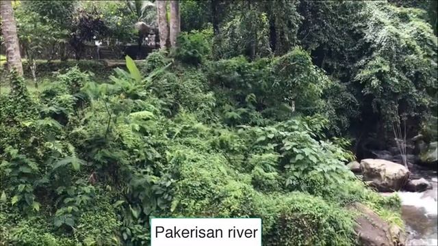 Videos Gunung Kawi Temple-Bali, Ubud, Indonesia ( Temples and Rice fields) смотреть онлайн