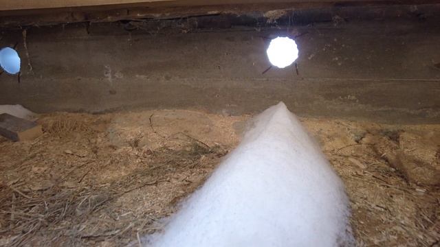 Будем добывать воду сами. Что еще нужно для скважины кроме лопаты? смотреть онлайн