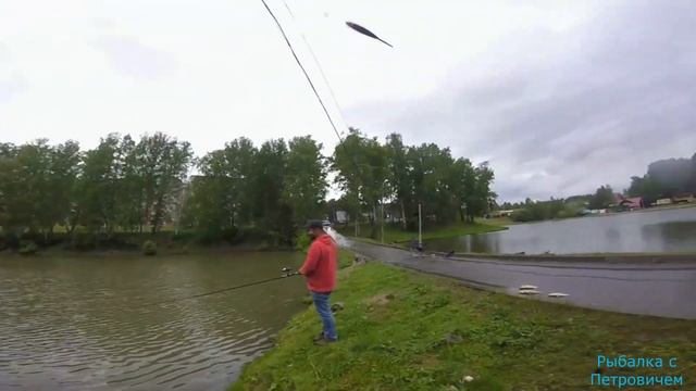 Дикий клёв карася и карпа!Рыбалка на поплавок на озере! смотреть онлайн