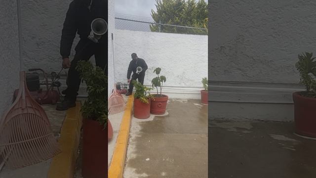 esto si es un sonido de camion fuerte #automobile #motoreselectricos #cornetashadley #cornetasdetre смотреть онлайн