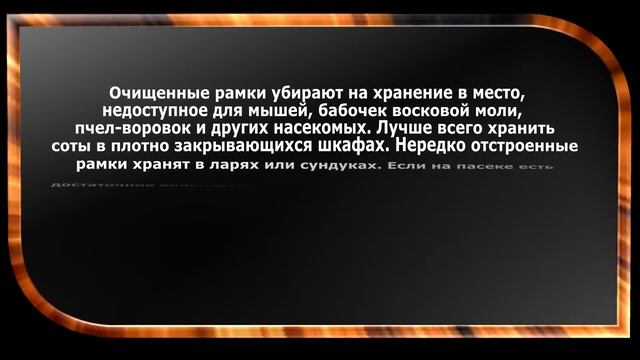 Как защитить рамки от грызунов? смотреть онлайн