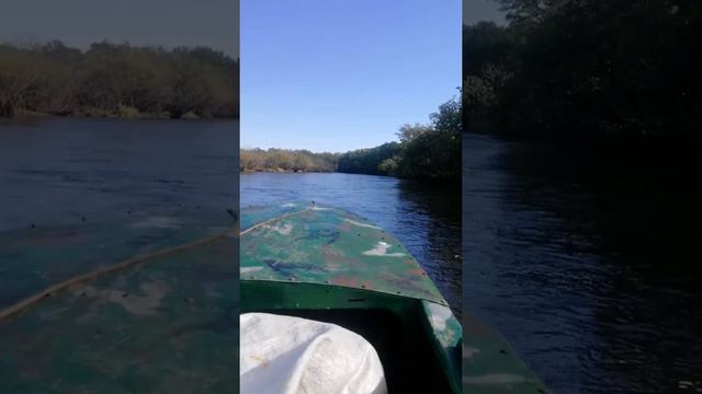 таймень река смотреть онлайн
