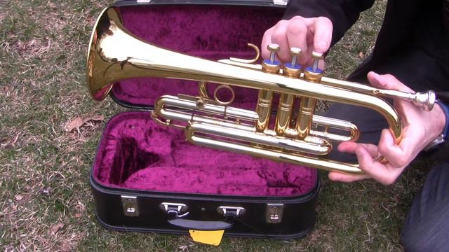 Cornet Musica Steyr Austria смотреть онлайн