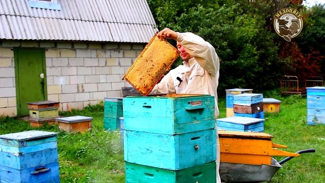 Секреты Профессиональной Креативности