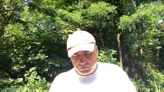 Поймать голавля на течении маховой удочкой смотреть онлайн