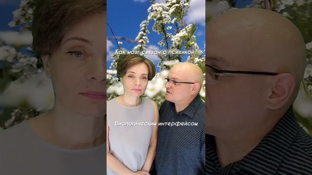 Как мозг связан с психикой.mp4