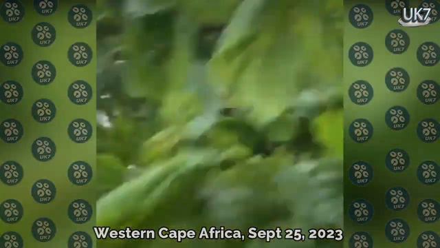 Western Cape in mourning! Everything is destroyed! Historic flood and storm смотреть онлайн