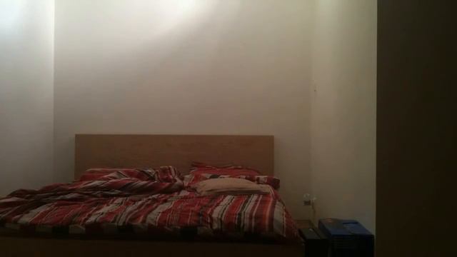 Puppy is playing (щенок бесится) смотреть онлайн