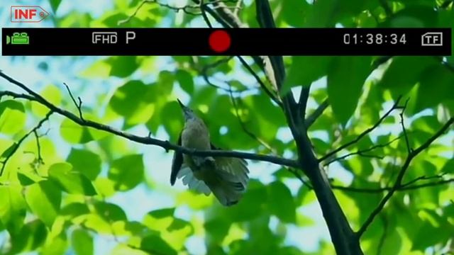 Digital Camera 1080P/48MP/16x Zoom Green смотреть онлайн