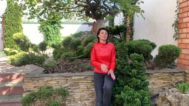 ХВОЙНЫЕ в саду/ Прирост/ Сила роста/ Уход за хвойными смотреть онлайн