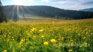 Дети бросили мать в деревне и даже не пришли на ее похороны, а когда нотариус прочитал завещание…