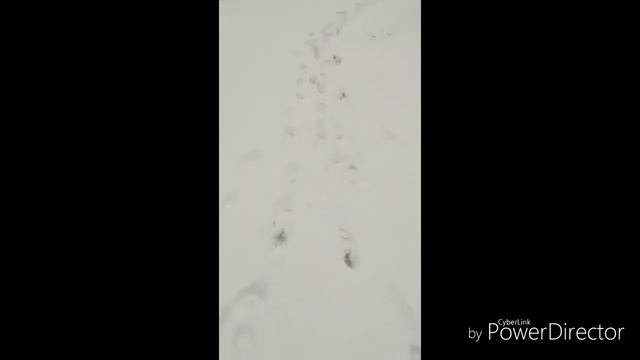 В мире диких операторов смотреть онлайн