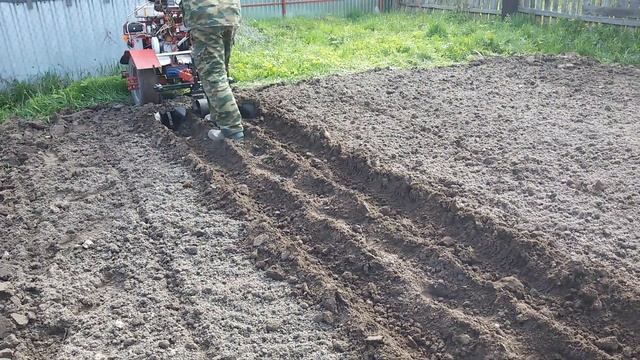 нарезка борозд мотоблоком-2х рядный окучник ! ЧТО ТО ПОШЛО НЕ ТАК! смотреть онлайн