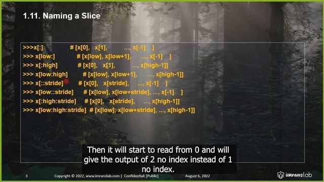 PYTHON COURSE FOR BEGINNERS (PT 5): Chapter 1 (1.11) Naming A Slice смотреть онлайн