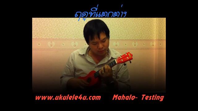 Ukulele Mahalo ฤดูที่แตกต่าง by Ukulele4u.com (Bally covering) смотреть онлайн