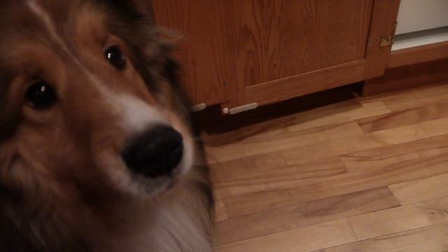 Brewer's yeast смотреть онлайн