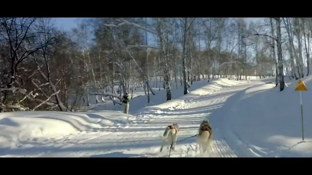 Чемпионат по зимним видам дисциплин ездового спорта - Гиперборея 2017 - Аэрокадр смотреть онлайн