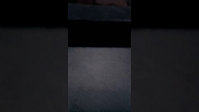 Фото из изентис ?тяутяутУтяутяяяутутятятутутутят смотреть онлайн