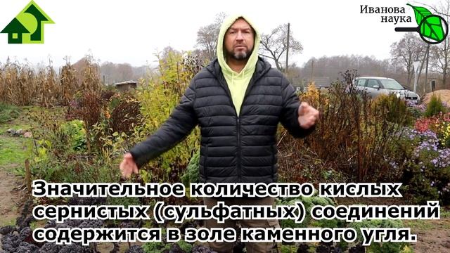 7 БЮДЖЕТНЫХ СПОСОБОВ УЛУЧШИТЬ ПЛОДОРОДИЕ ПОЧВЫ... ПОДКИСЛЕНИЕМ! Для голубики, гортензий, томатов... смотреть онлайн