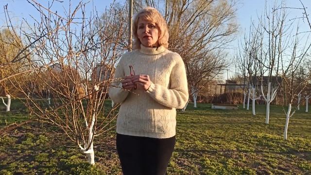 Работы в саду весной. Самые необходимые работы на даче в марте и апреле смотреть онлайн