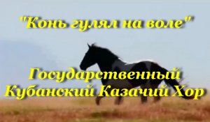 Конь гулял на воле