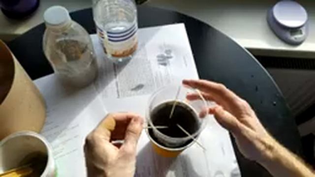 ЦЕМЕНТНЫЙ ГОРШОЧЕК ИЗ СТАКАНЧИКА МАКДОНАЛЬДС | ГОРШОЧЕК ДЛЯ ЦВЕТКА ИЗ СТАКАНА | ДЕКОР ДЛЯ ДОМА И СА смотреть онлайн