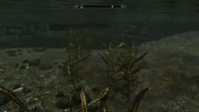 Skyrim - Top class assassin смотреть онлайн