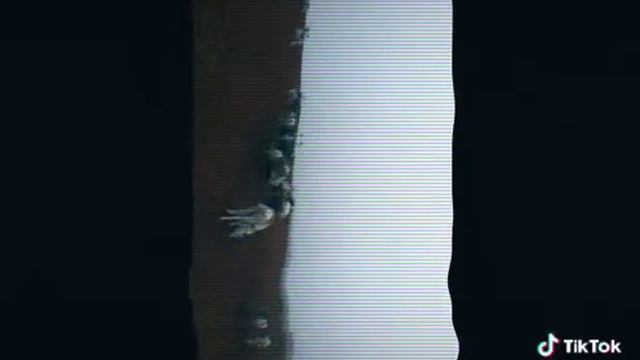 Драки быков северных оленей смотреть онлайн