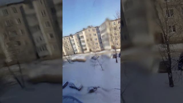 Мой песик спит во время стрима тик така! смотреть онлайн