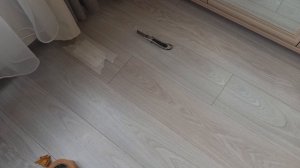 Как убрать щель в ламинате, не разбирая пол! Почему появилась щель?
