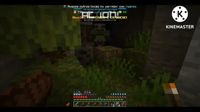 melhor servidor de survival para Mine Java смотреть онлайн