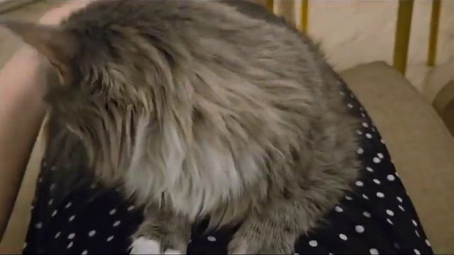 Пышка дома смотреть онлайн