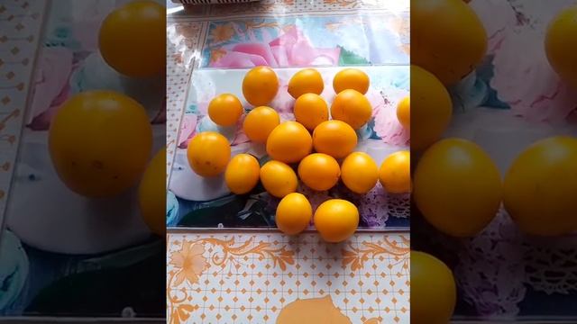томат де-барао Золотой смотреть онлайн