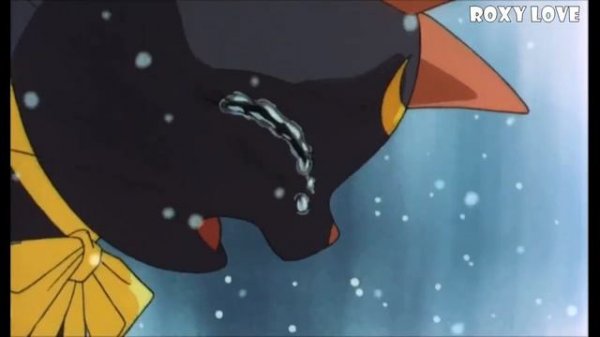 Sailor Moon — Кошка