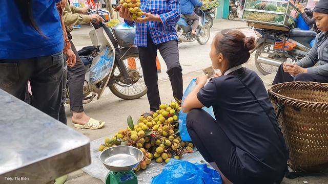 Harvesting Litchi Fruit Garden Goes To The Market Sell, Daily Life - Triệu Thị Biên