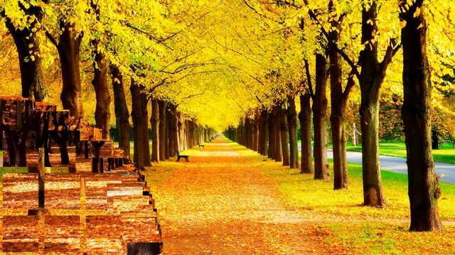 Уходящая осень - Сергей Грищук (Leaving Autumn - Sergey Grischuk)