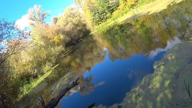 SONY HDR-AS 300 Тест камеры на рыбалке. И телефон SAMSUNG A 71. смотреть онлайн