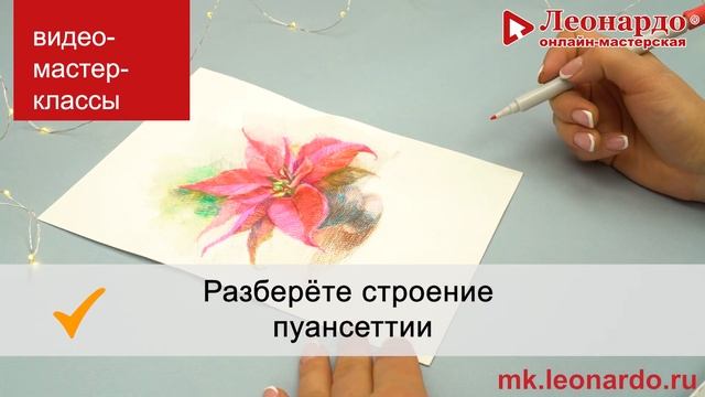 Графика карандашами «Открытка с пуансеттией»