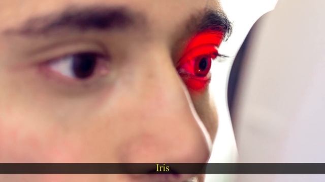 Cyber Security Module 11 1 смотреть онлайн